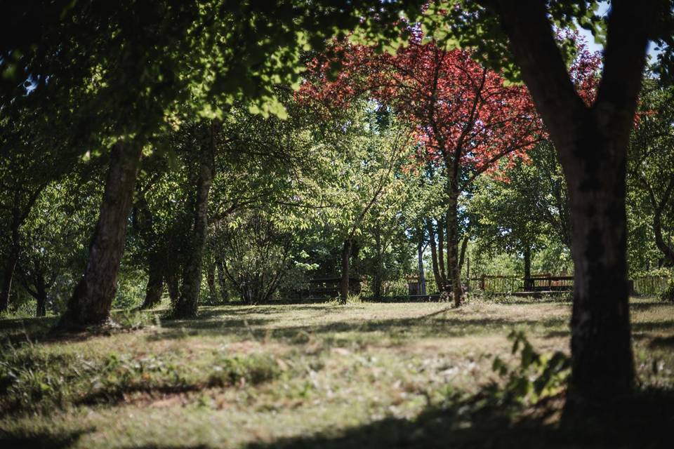 Domaine de Malet