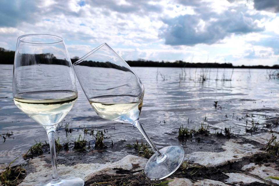 Vin de Loire