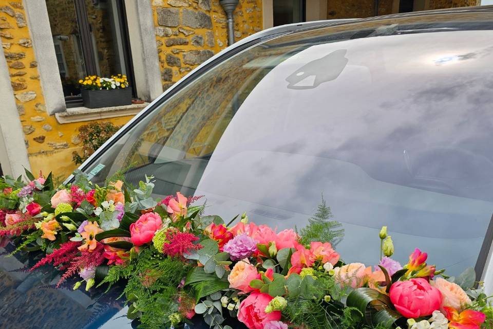 Guirlande voiture