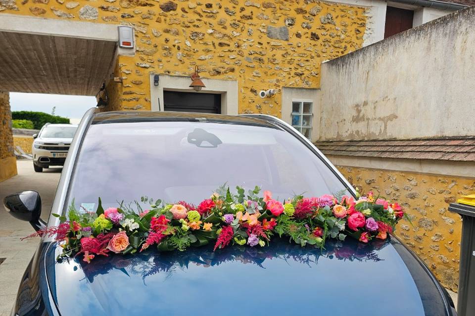 Guirlande voiture