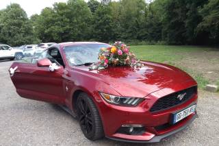 Mustang Concept Event