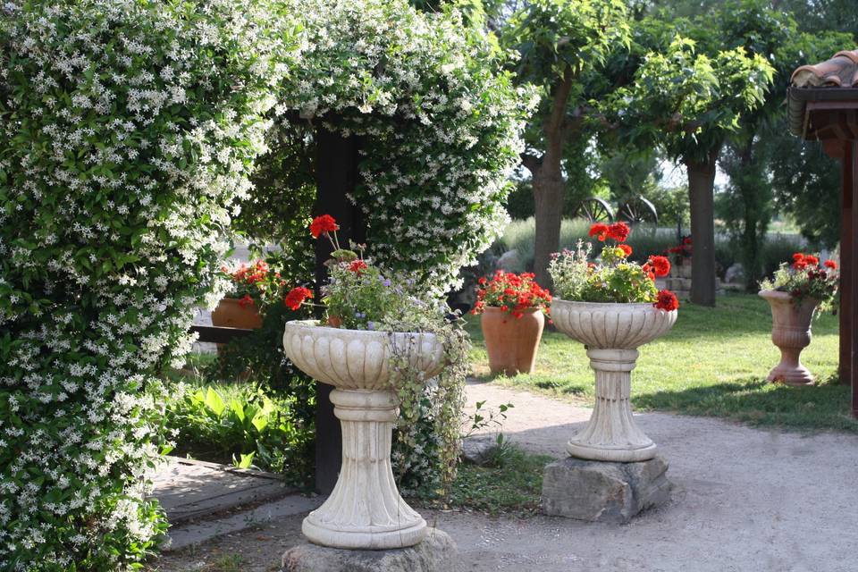 Un jardin Vert et Fleuri