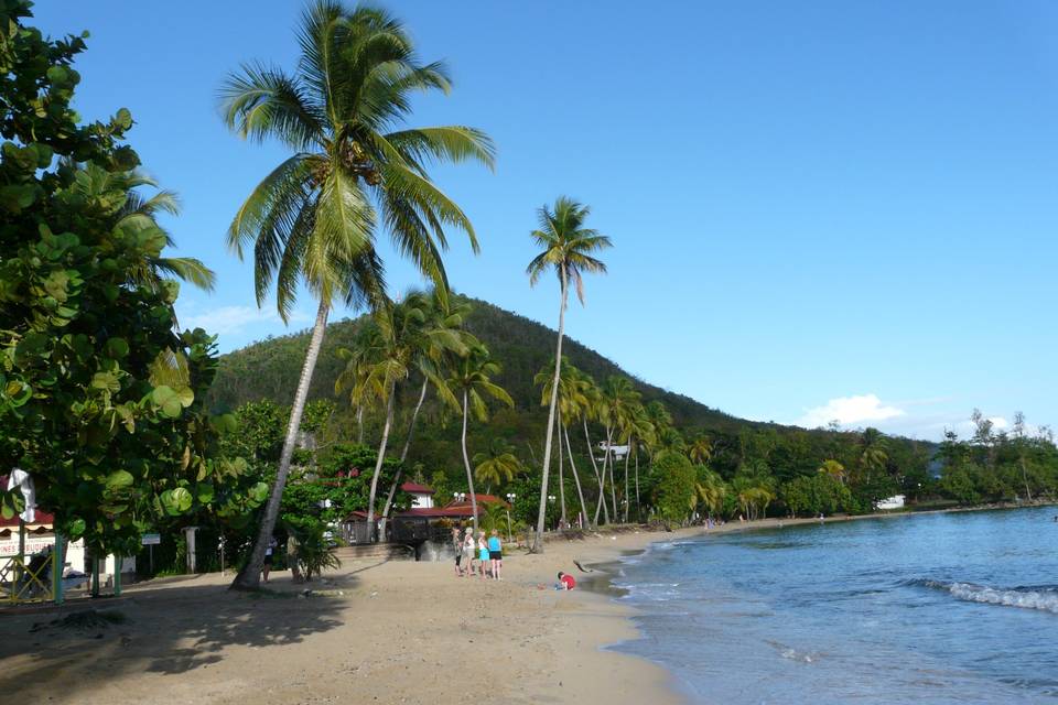 Martinique : Anse Figuier