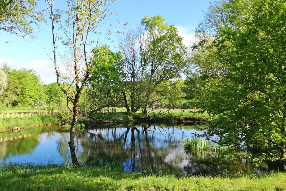 La mare arborée et cloturée