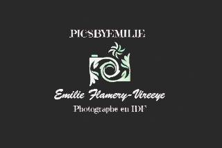 Emilie Flamery logo