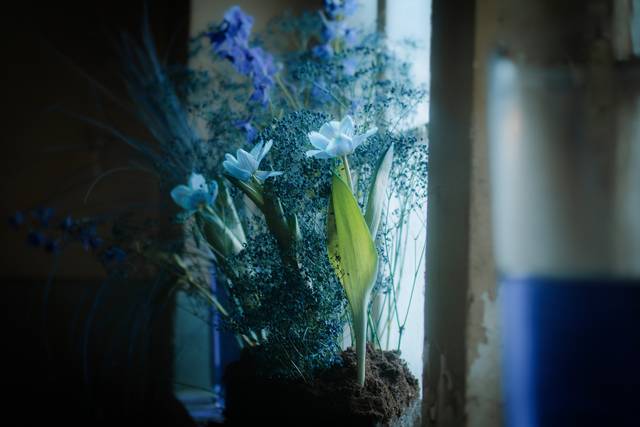 Décoration florale bleue