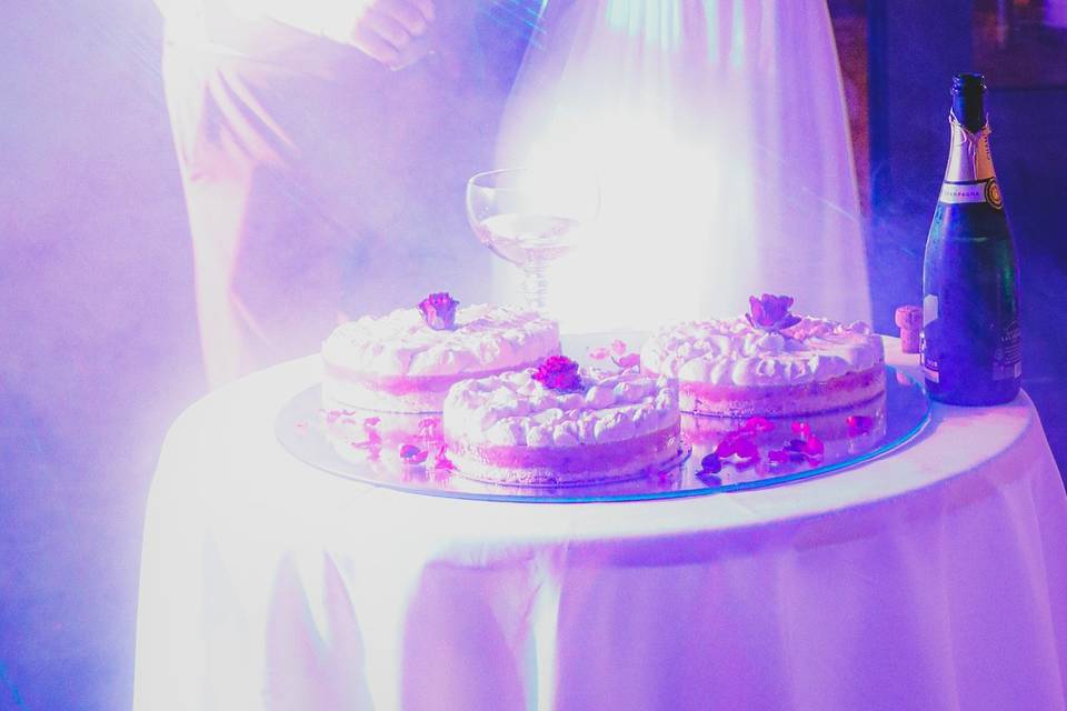 Le gâteau photo artistique
