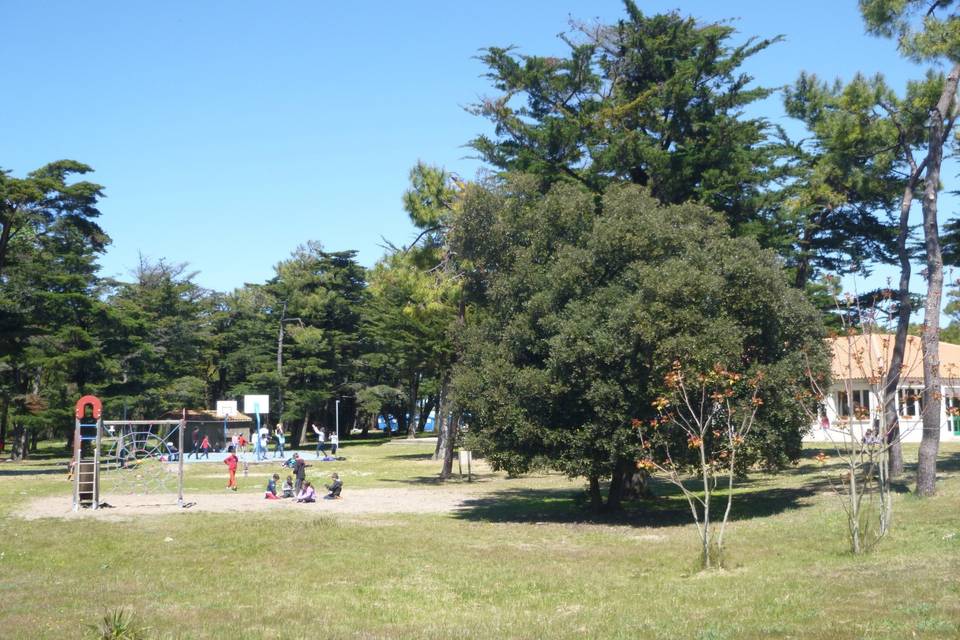 Vue sur le parc