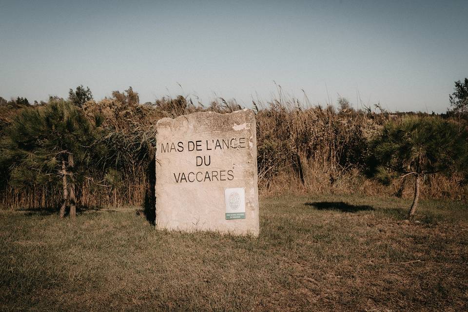 Mas de l'Ange du Vaccares
