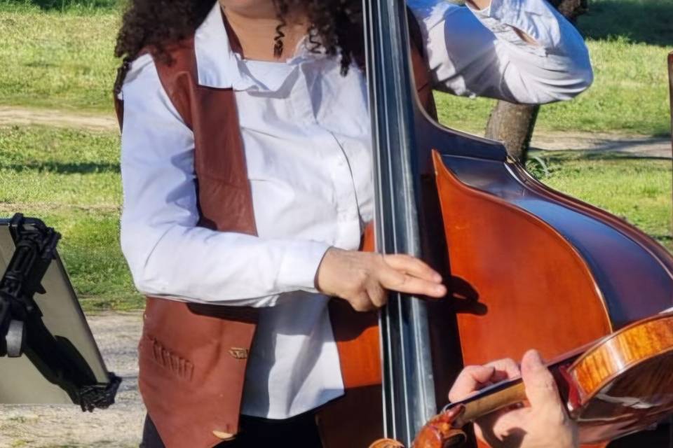 Corde sans sib