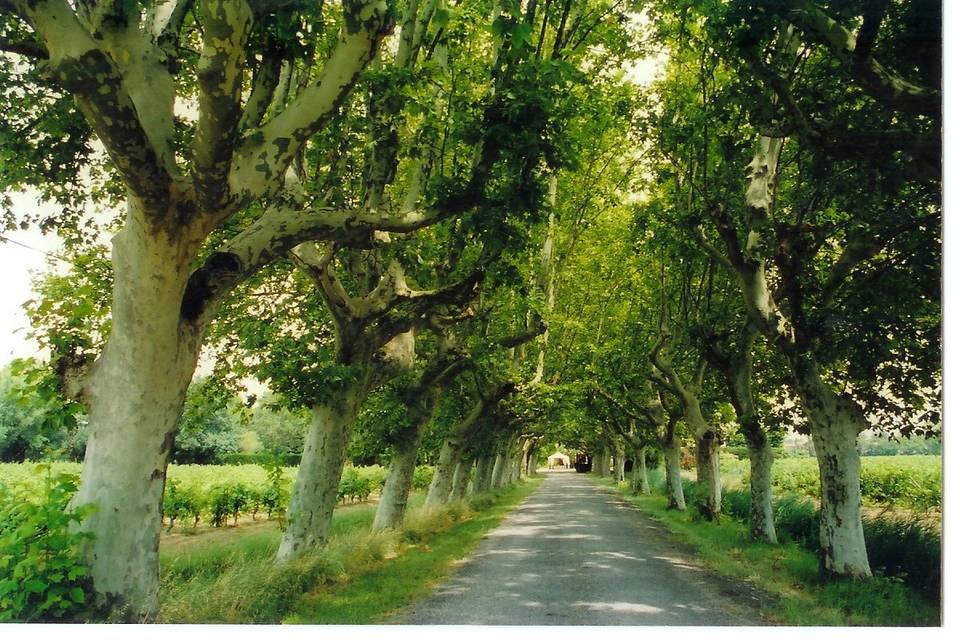 Entrée du domaine