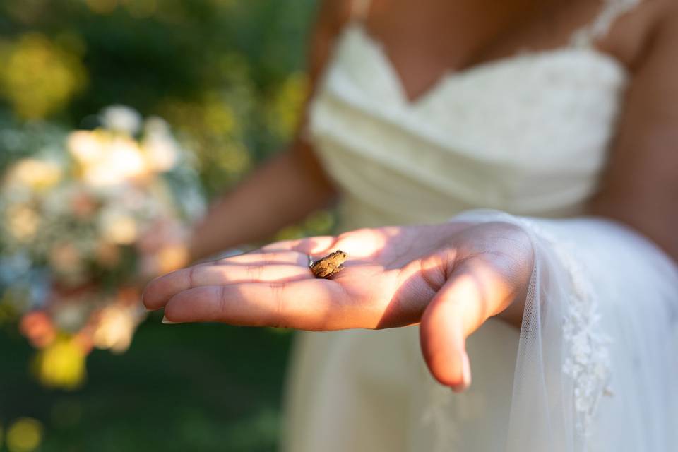 La Princesse et la Grenouille