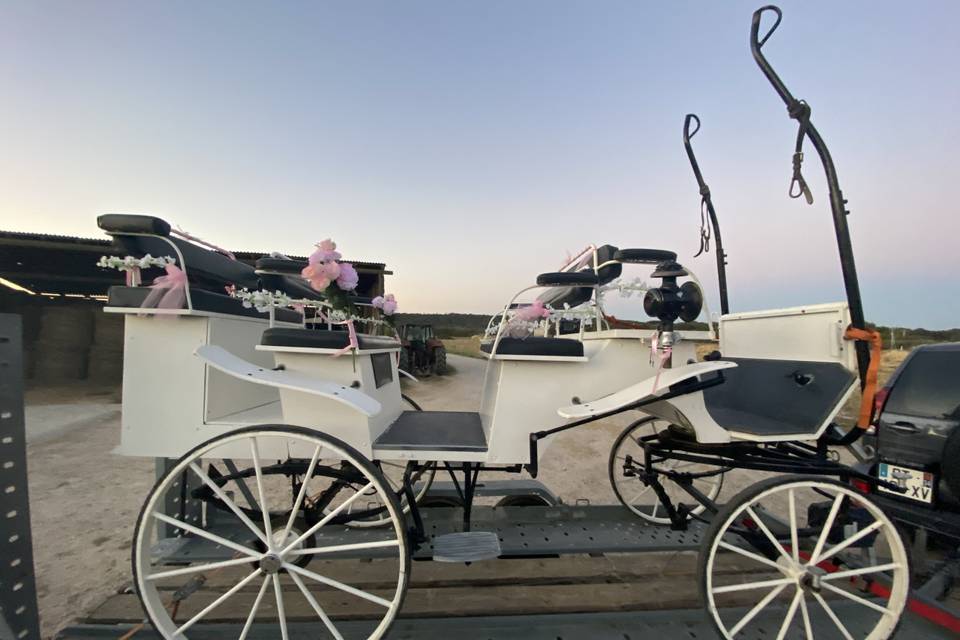 Mariage rose/blanc