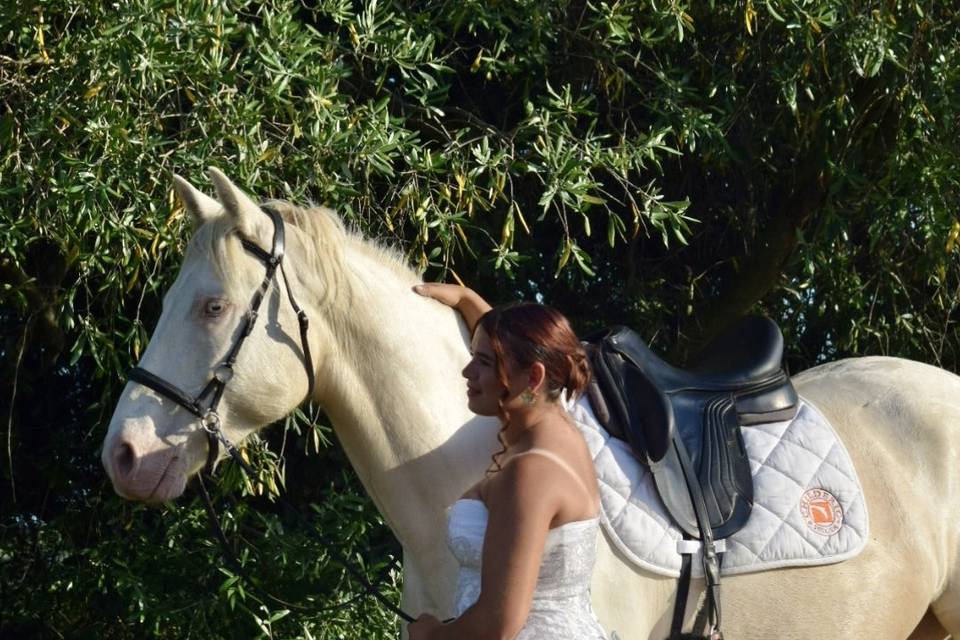 Cheval