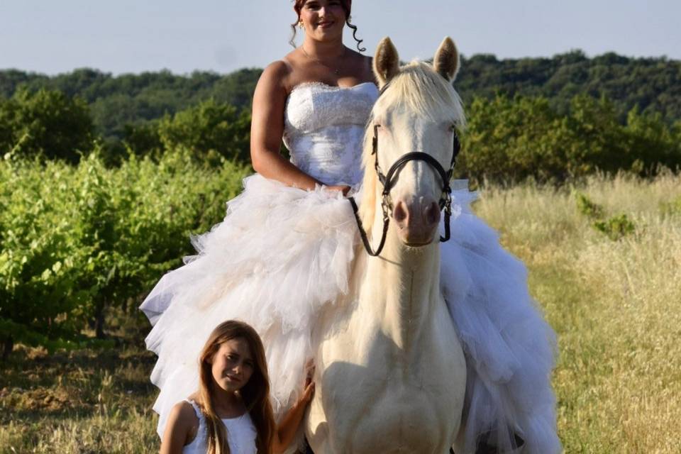 Cheval