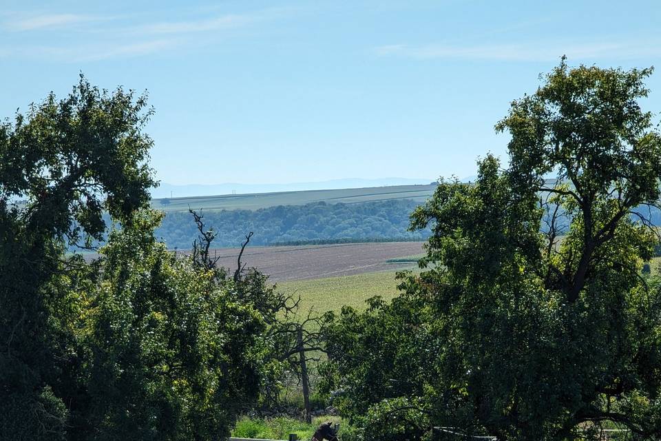 Vue de la terrasse