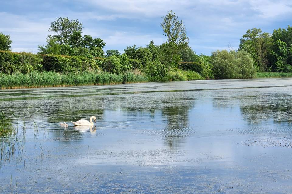 Lac de Sathenay