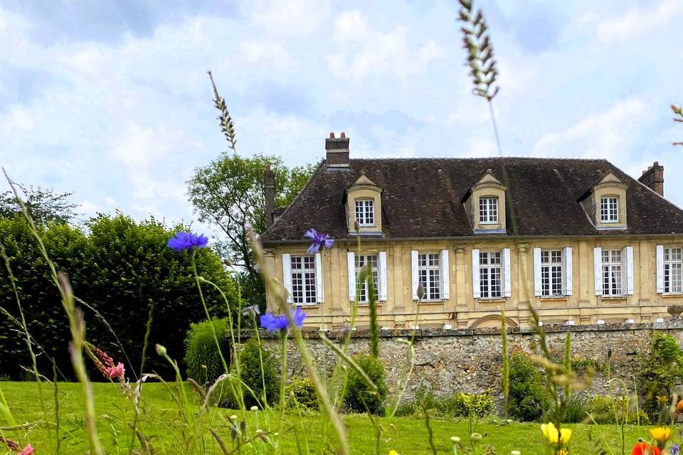 Prairie fleurie du parc