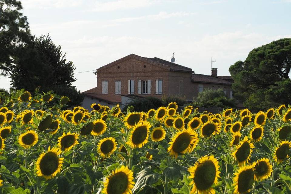 Domaine de Bétoueil