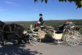 Provence-Caleche-Tradition