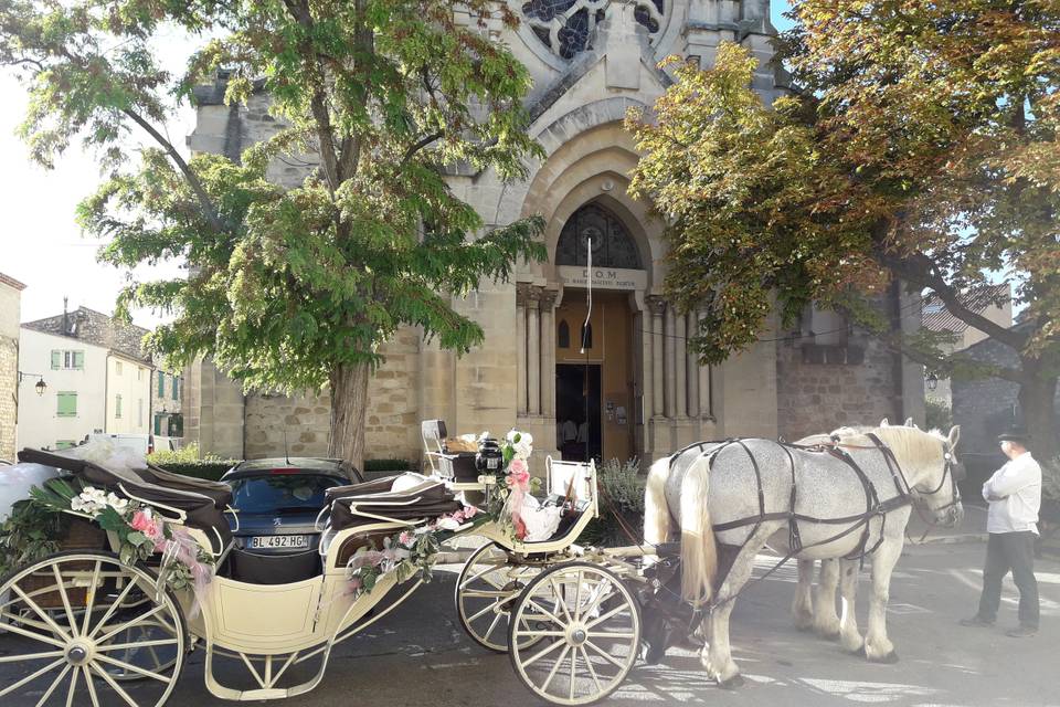 Provence-Caleche-Tradition