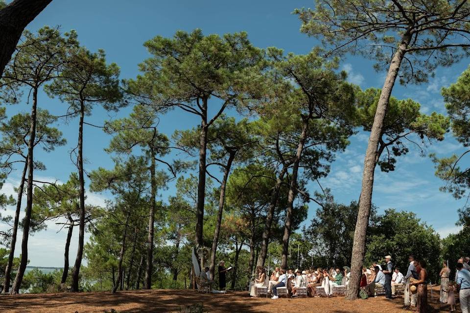 Bassin d'Arcachon