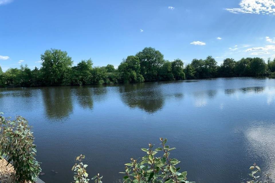 Vue sur l'étang