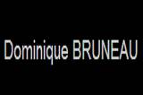 Dominique Bruneau logo
