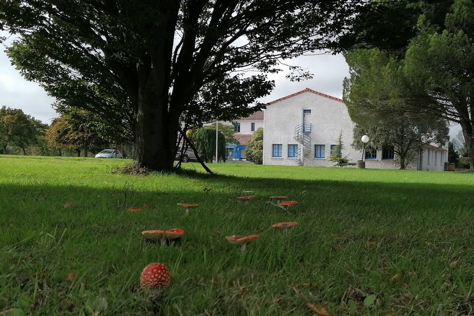 Jardin