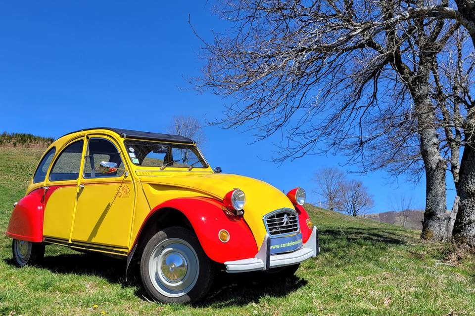 Jaune&Rouge