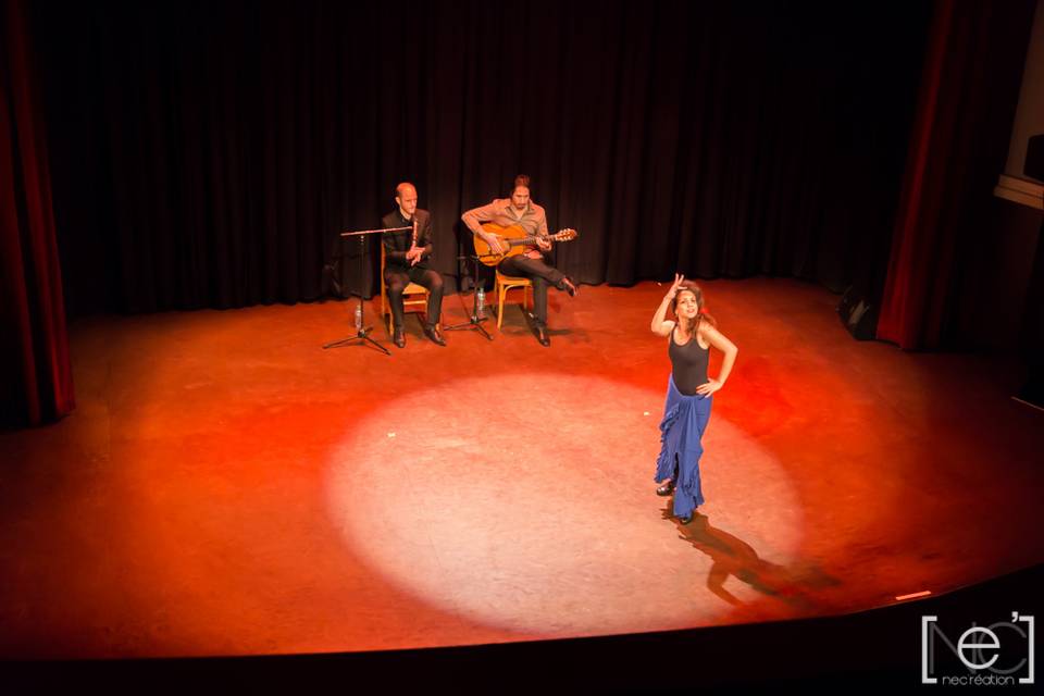 Guitariste flamenco