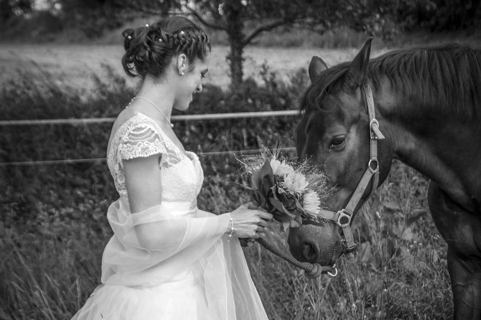 Mariages en Bretagne