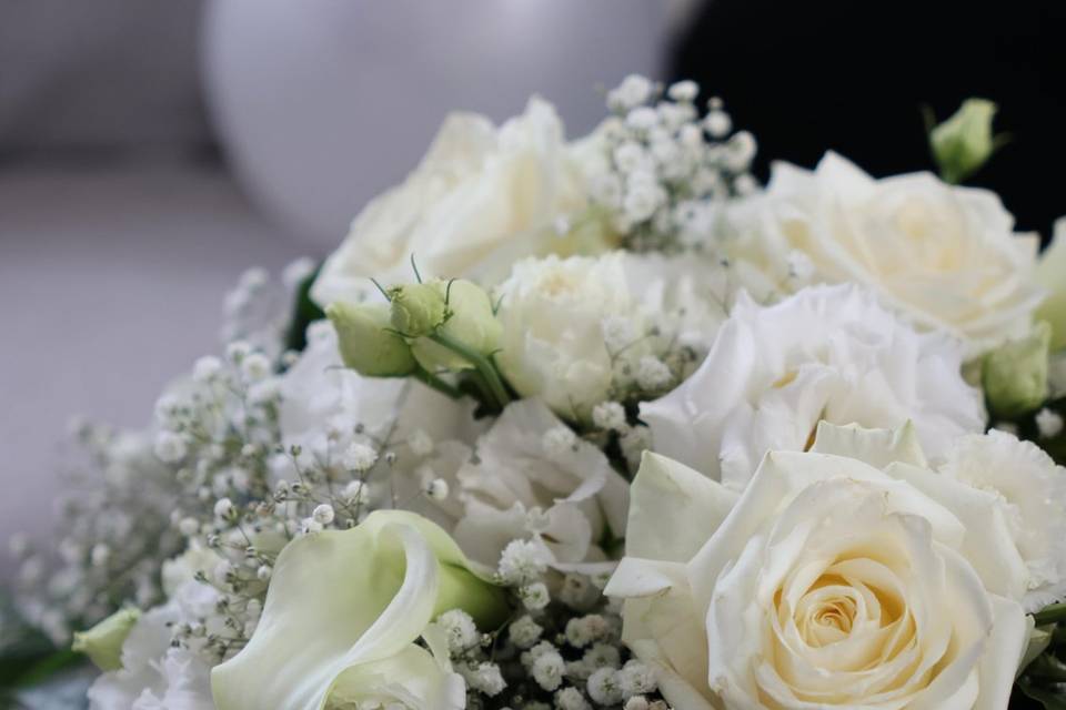 Mariage Ines et Guilliane
