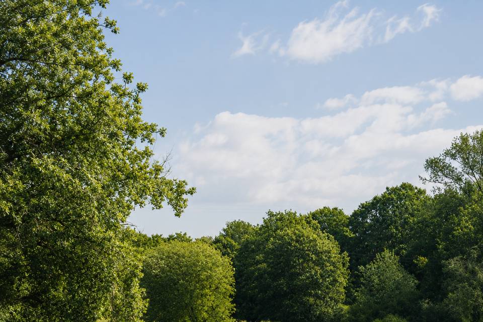 LOVE au Gué de la Terre