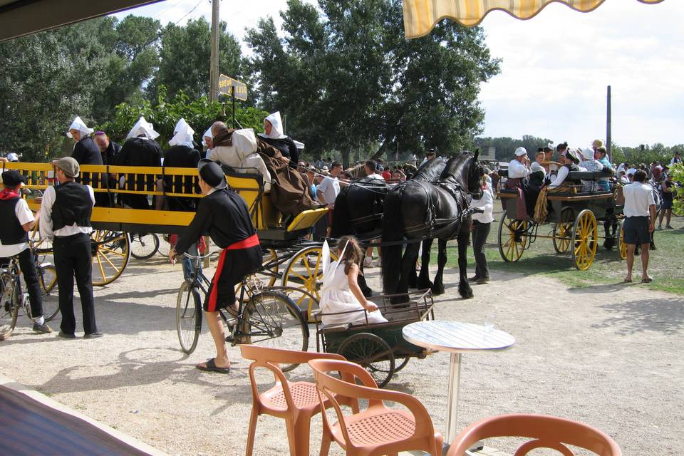 Fer a cheval