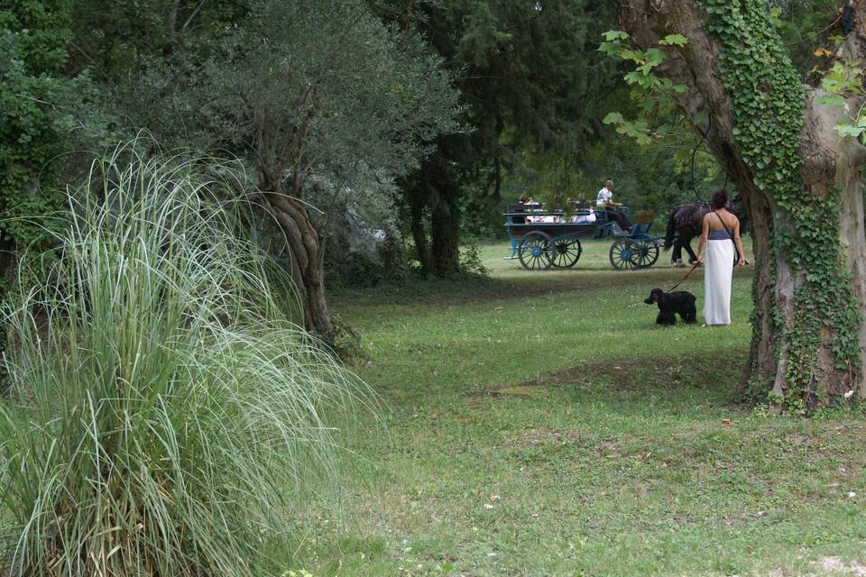 Fer a cheval