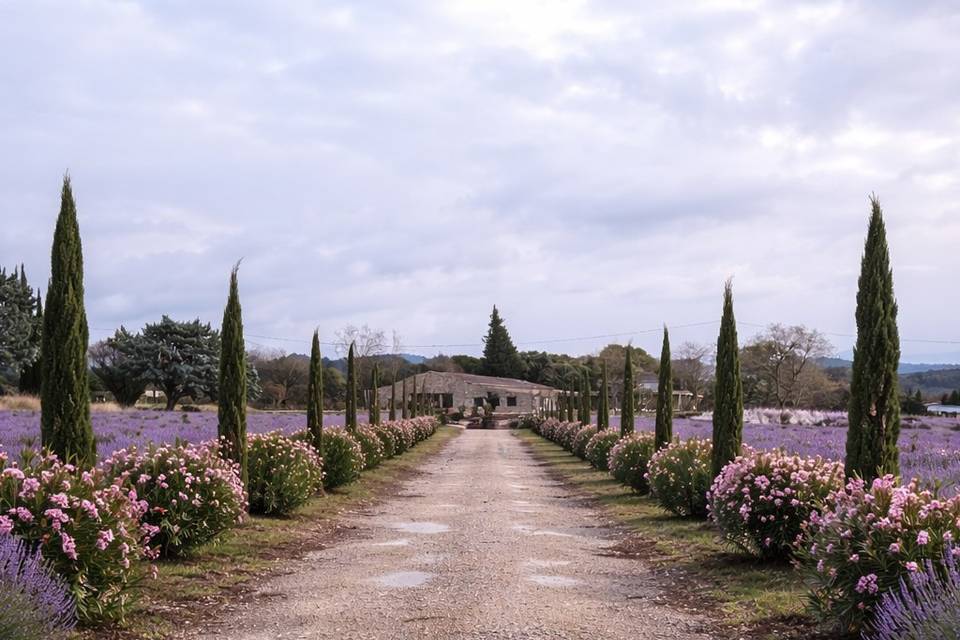 Domaine de la tuilliere