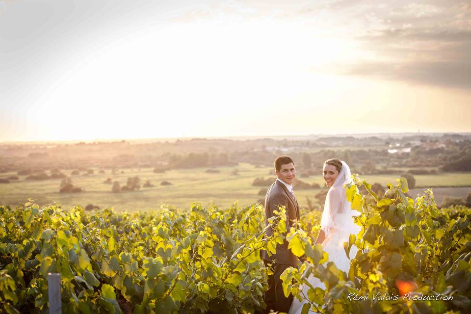 Le vignoble nantais