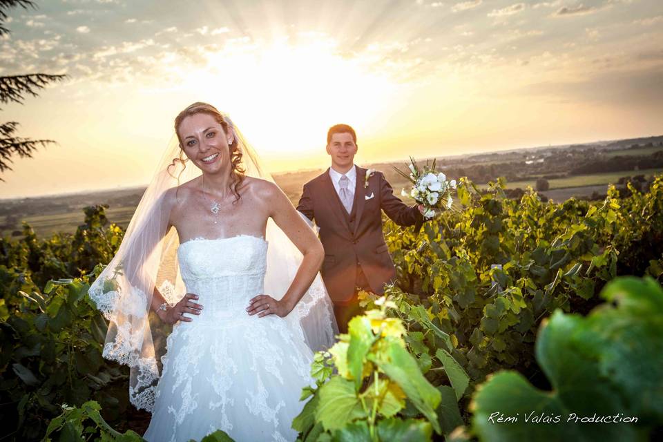 Le vignoble nantais