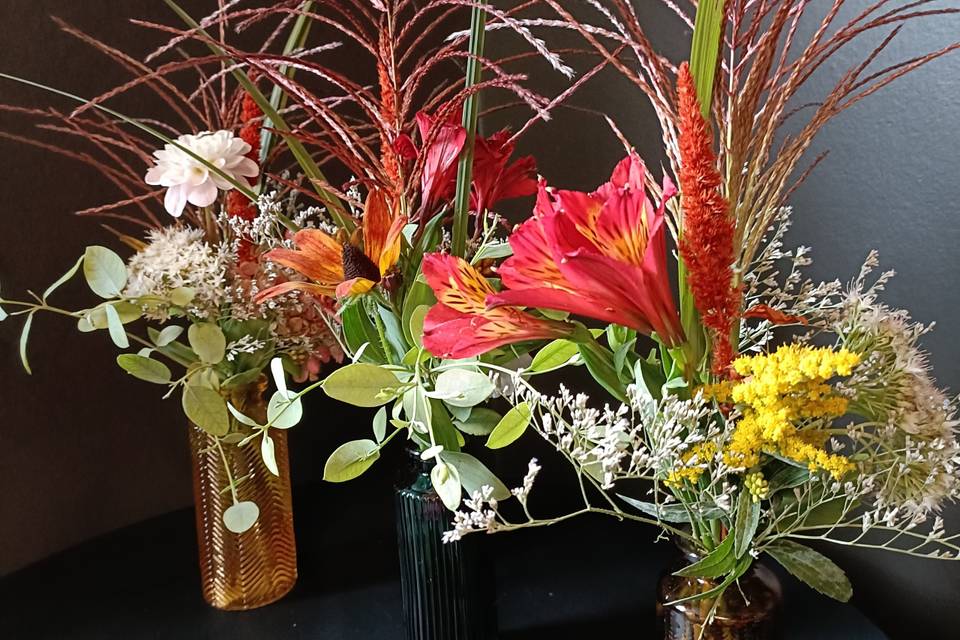 Les fleurs de mon jardin