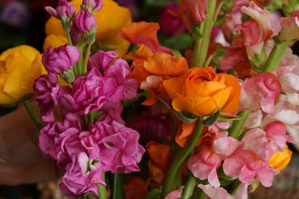 Fleurs de loup