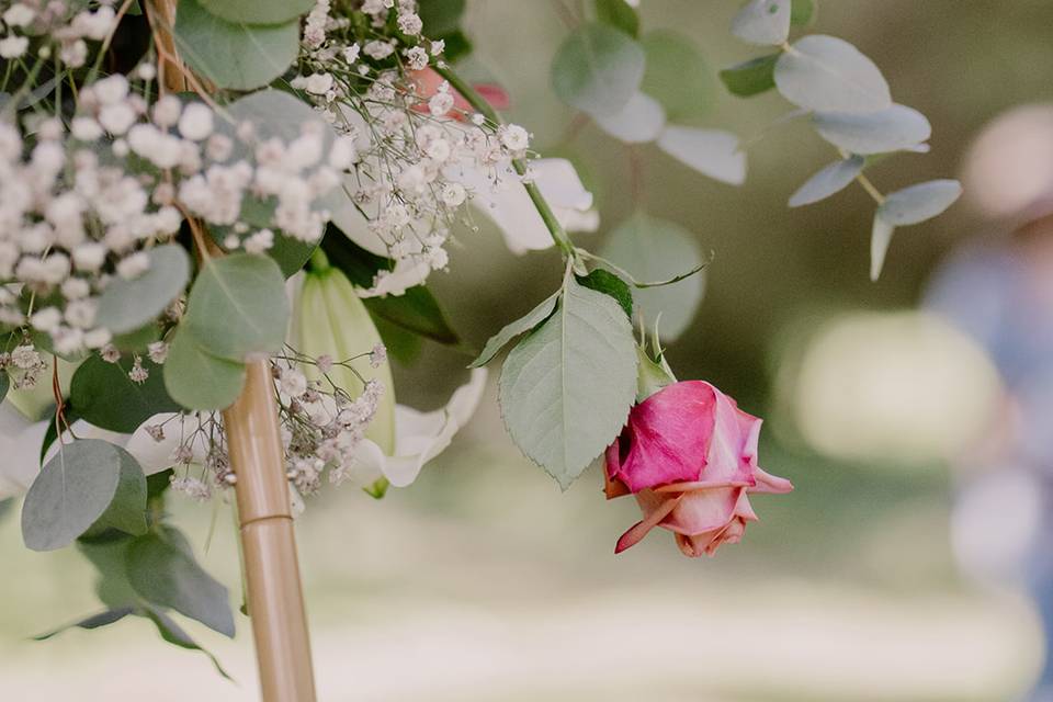 Mariage Blanc/Terracotta