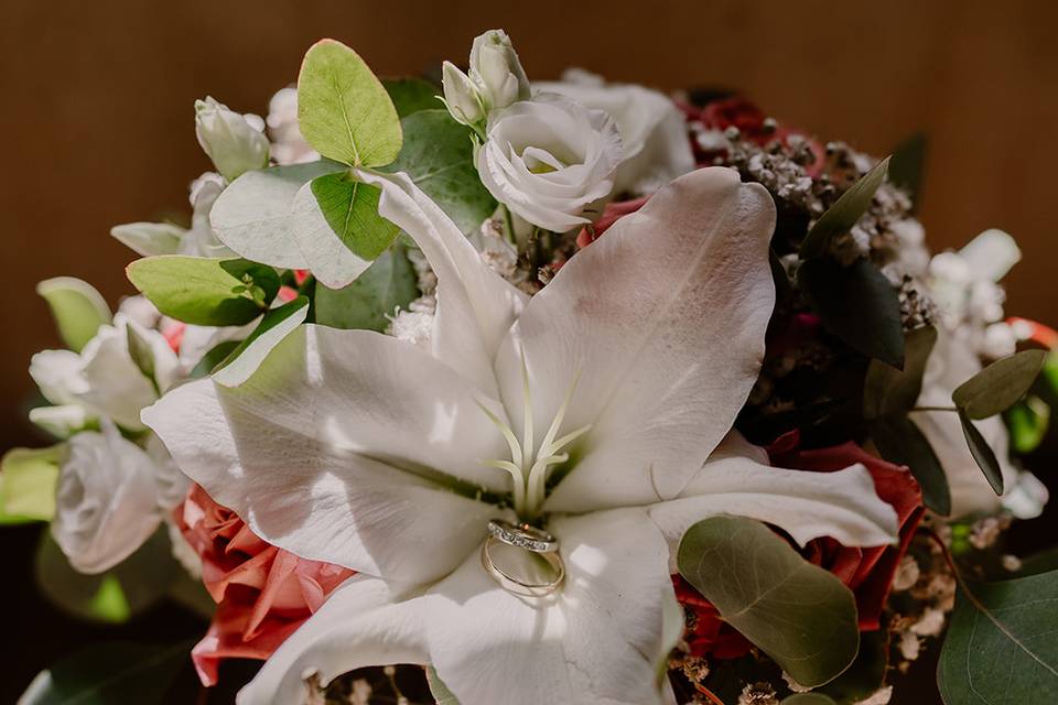 Mariage Blanc/Terracotta