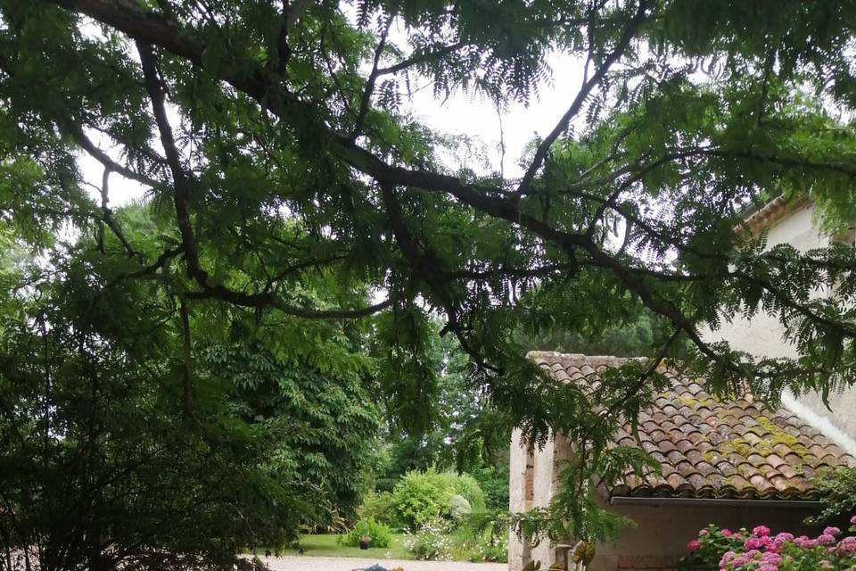 La Cour ombragée