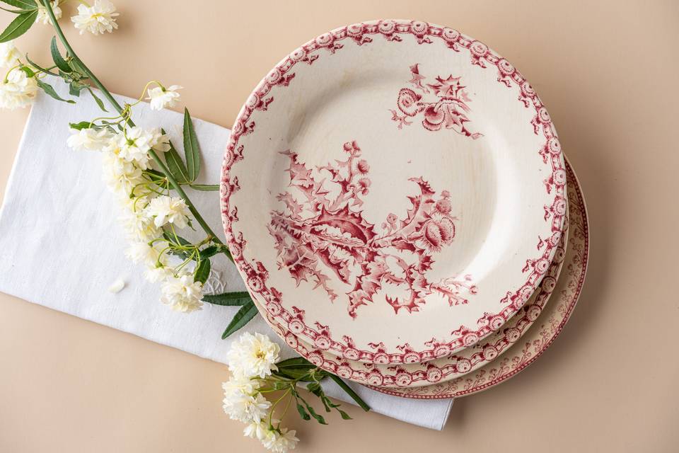 Assiettes roses