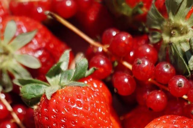 Fraises fruits rouges