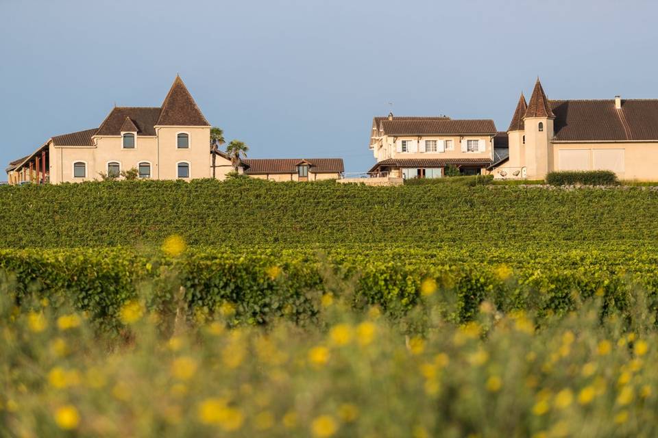 Vue des vignes