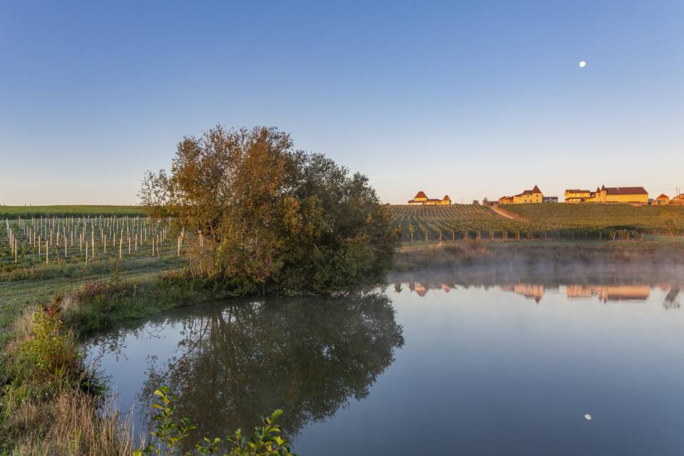 Vue du lac