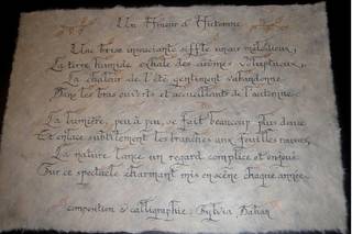 Calligraphie Sylvia D. 1