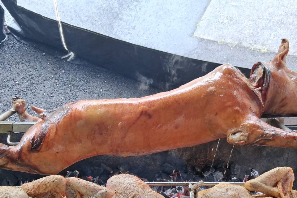 Porcelet et poulet